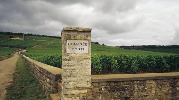 file6xgei4jlhokp64cxaae