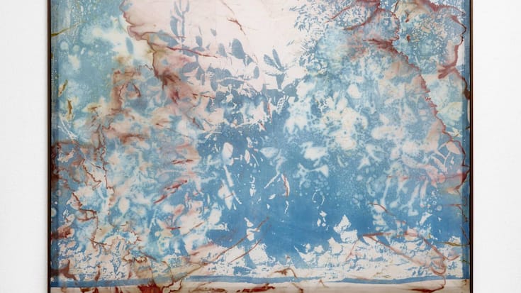 file81qt0puca9v11v4oa3ba