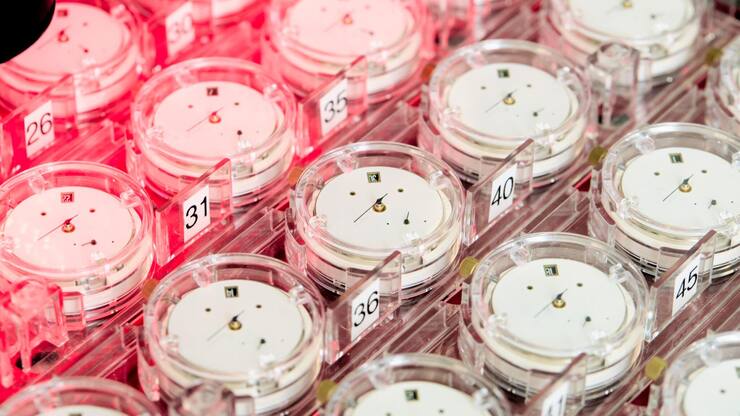 COSC-Zertifizierung für genaue Uhren