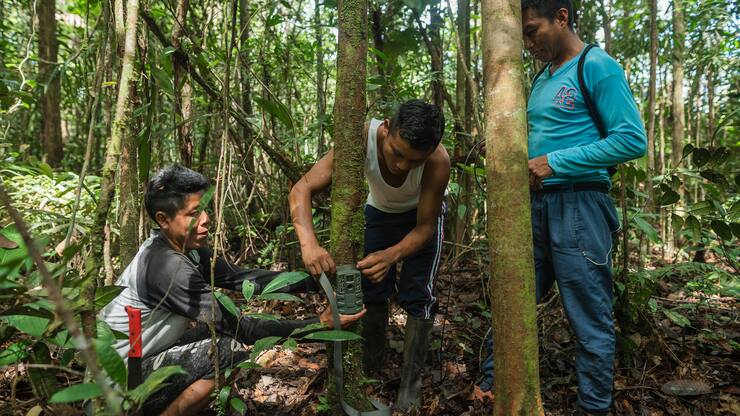 Mitarbeitende der South Pole bei der Arbeit.