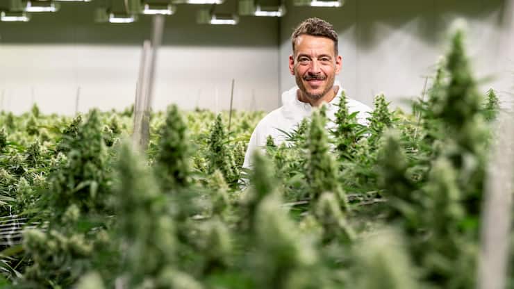 Von coca-Colazu CannabisMarry-Jane-CEO Rico Üslük ist ein Konsumgüterprofi: Er war lange Manager beim US-Konzern Coca-Cola.