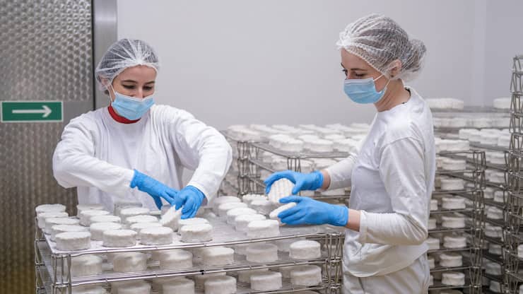 Platz 1: New RootsVegane Lebensmittel sind das Geschäft unseres Innovationssiegers. Die vegane Molkerei, gegründet von Alice Fauconnet und Freddy Hunziker, entwickelt Rohstoffe, aber auch im Tagesgeschäft reüssiert New Roots.