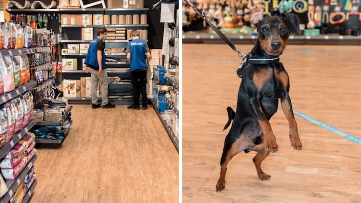 tierische_rendite_teaser