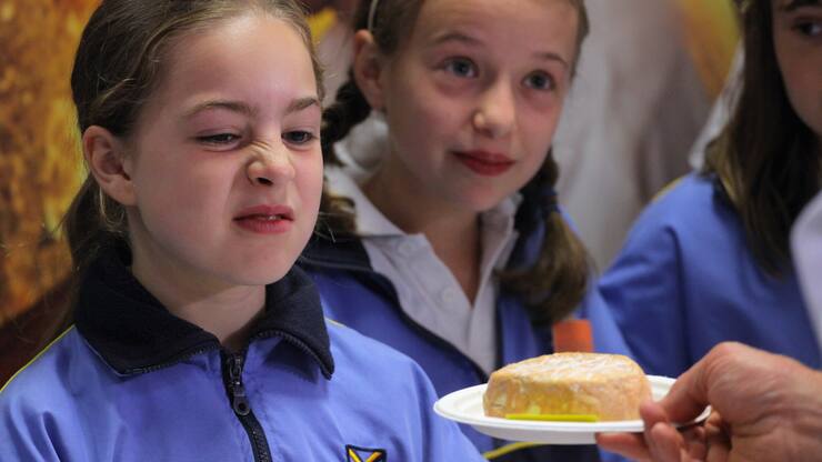 Stinking_Bishop_Kaese