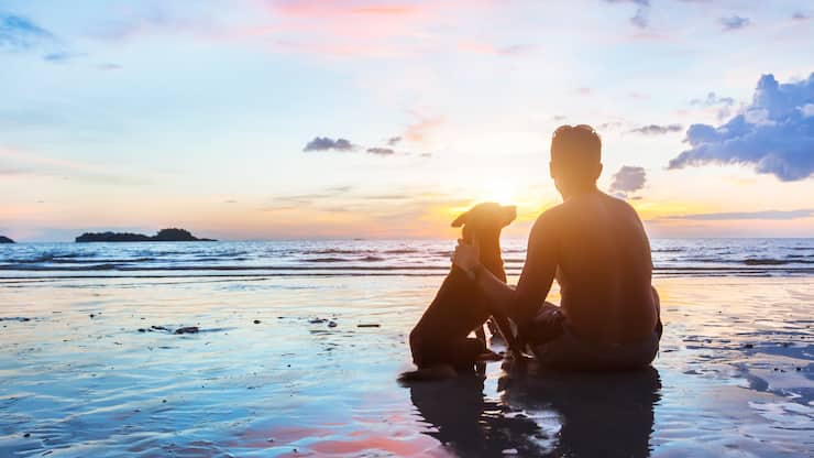 Haustierversicherung