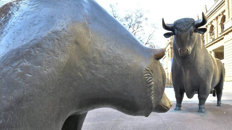 Bulle und Baer Boerse