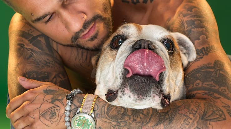 Die «mainstreamigsten» Produkte von Bomberg wurden eliminiert, man konzentriert sich auf Tattoos, Totenköpfe, mexikanische Wrestler, Zombie-Wikinger und CBD. 