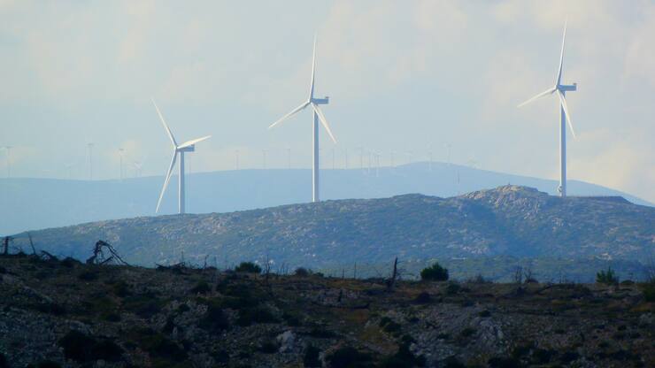 Windraeder auf einem Huegel