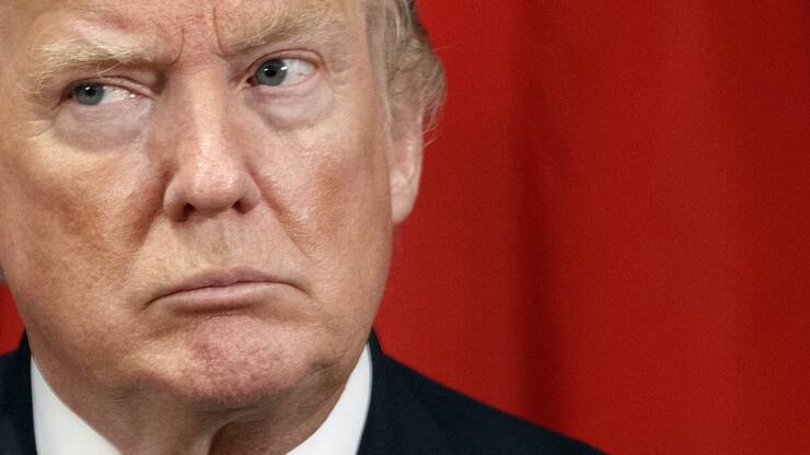 Donald Trump Portrait