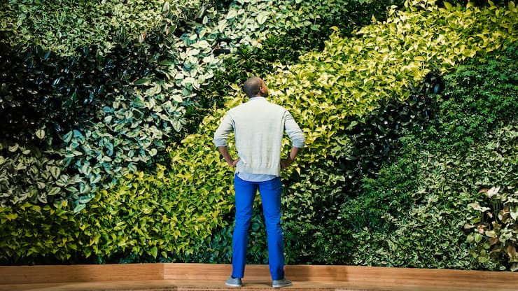 Young man standing in front of green plant wall, rear view