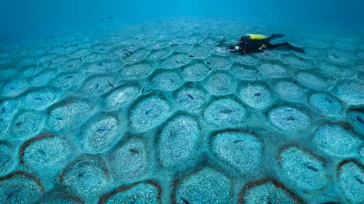 Laurent Ballesta/Blancpain