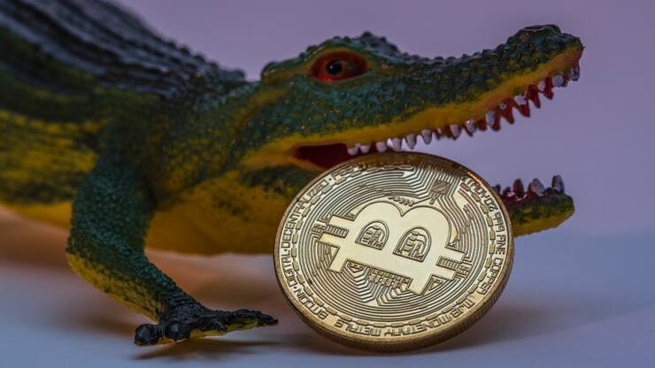 Bitcoin_Cyberwährung_Krokodil