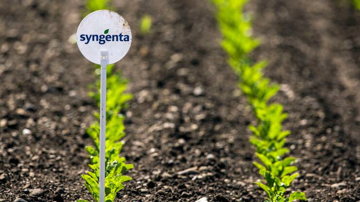 Syngenta