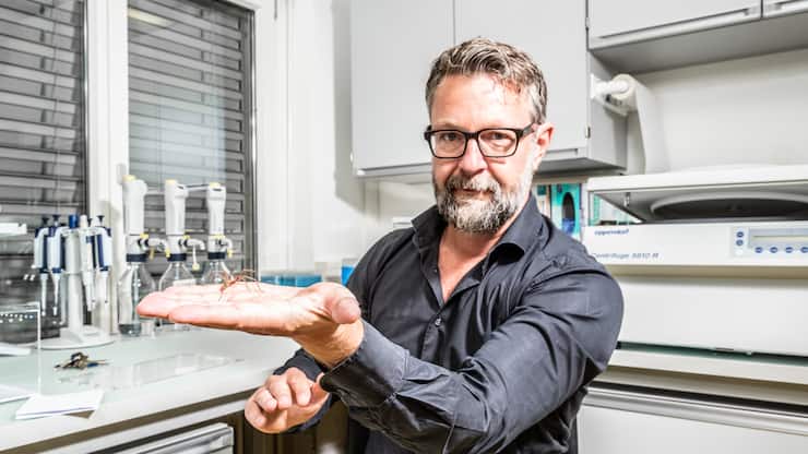 Keine Furcht vor Spinnen: Neurowissenschaftler Dominique de Quervain in seinem Labor an der Universität Basel.