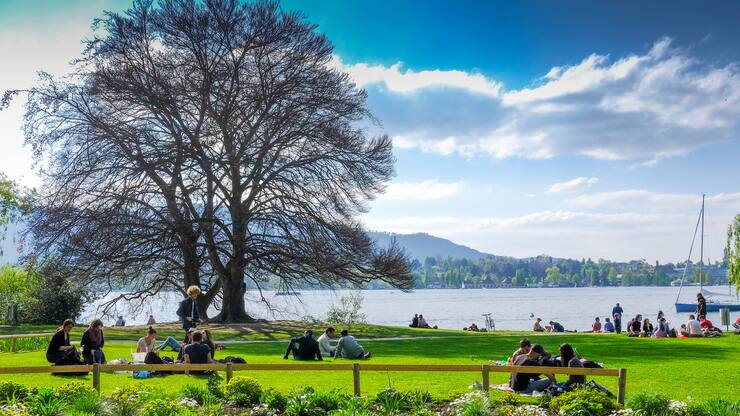 Frühling am Zürichsee