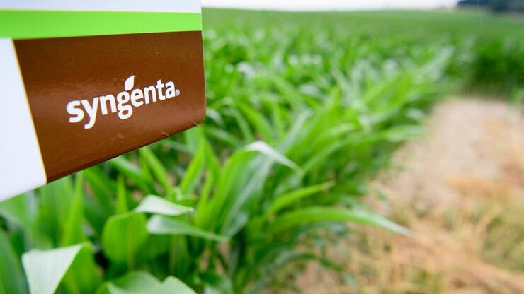 syngenta-borse.jpg