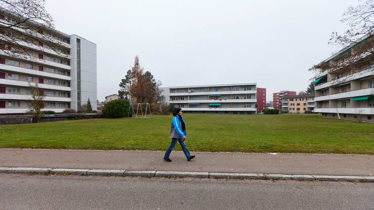 Eine Verbrauchsdatenerfasserin ist am 23. November 2011 in Dietikon unterwegs. (KEYSTONE/Gaetan Bally)