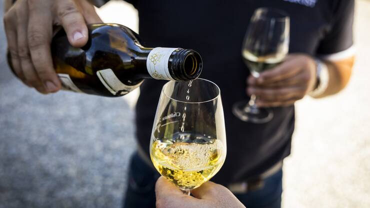 Wie gefährlich ist ein Glas Wein täglich wirklich?