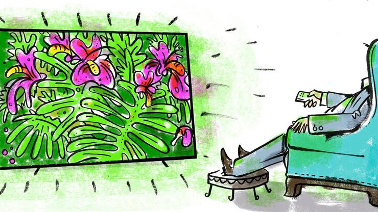 Kowalskys Crashtest Philips 65OLED803 TV Fernseher