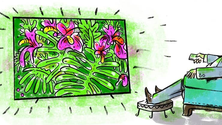 Kowalskys Crashtest Philips 65OLED803 TV Fernseher