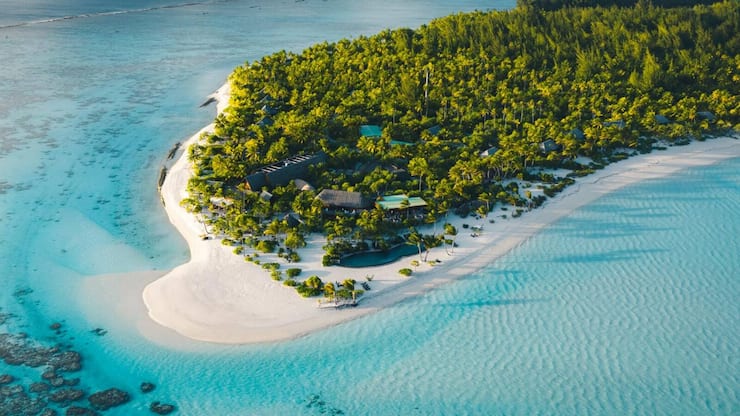 file81wjl4zc3uw1ixvv2fv8