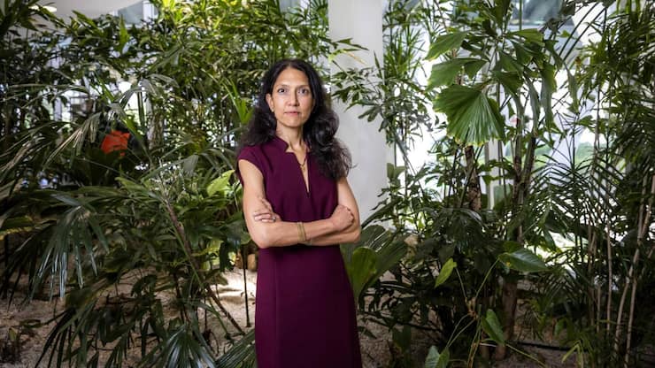 file83pa3q95ydjt6lq3b52