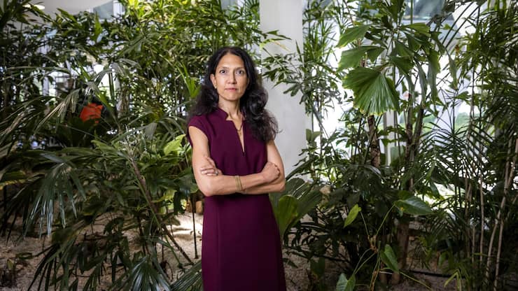 <p>Neustart: Unter Srishti Gupta kehrte das Vertrauen in die lange kriselnde Idorsia zurück.</p>