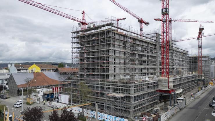 20250618145144495 Cropped.jpg