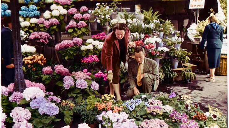 Catherine Dior and her partner Hervé des Charbonneries at the Halles flowers market in Paris, 1947 COLORIZED.tif