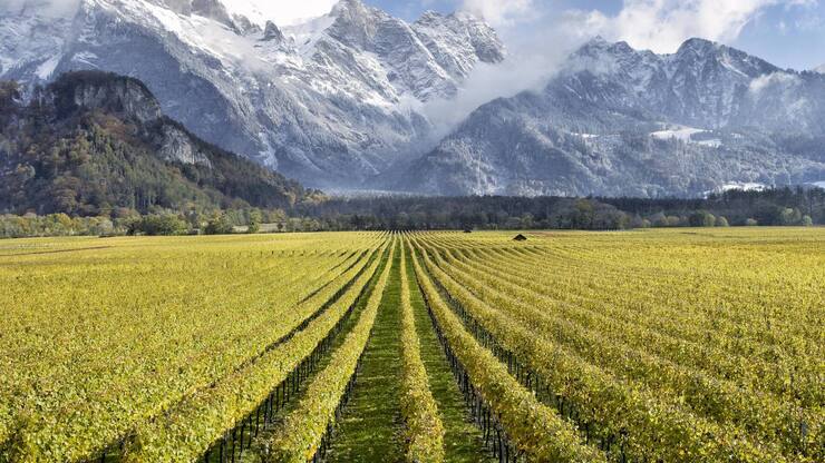 file8244dz2pzw8xq8t4a0u