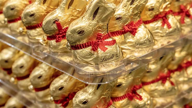 file7oy4g2c0lld17ditd2pu