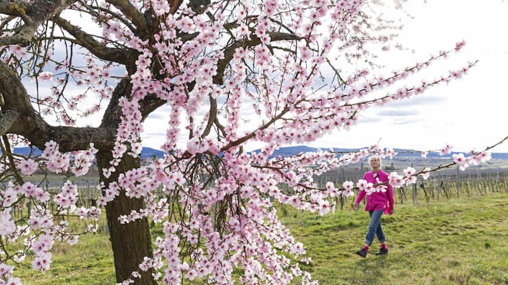 file855qgmepb4os0876ps7