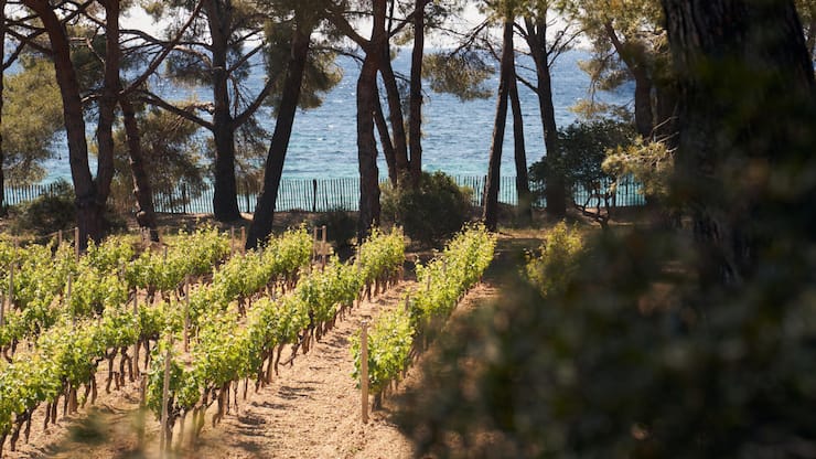CLOS MIREILLE.jpg