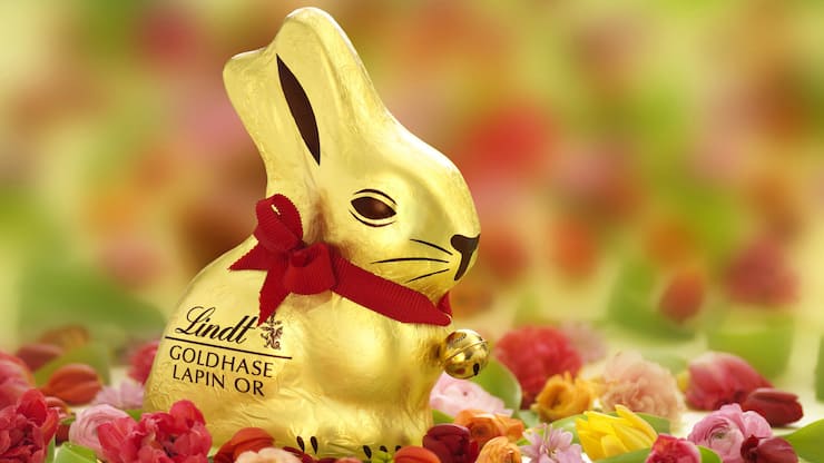 file7vr0tqqwmua4jvg72oj