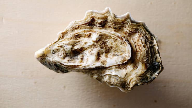 file83cwdd0cl12196x1nvnz