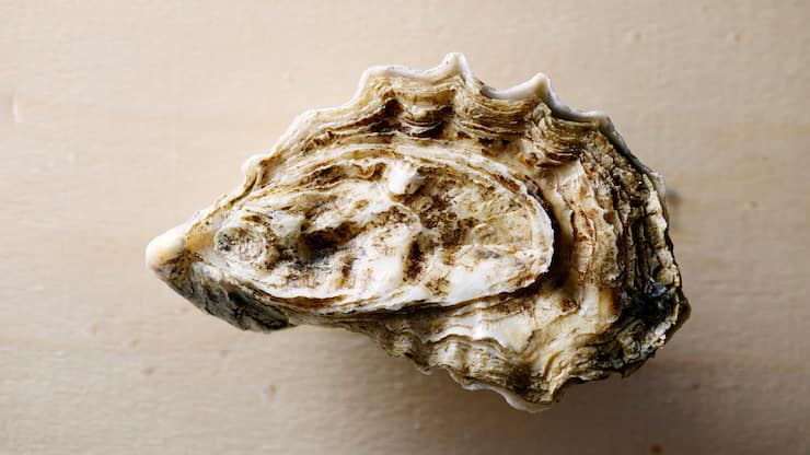 <p>Glitschig oder göttlich? Hinter der felsenharten Schale verbergen sich ein Geruch und ein Geschmack wie ein Tag am Meer.</p>