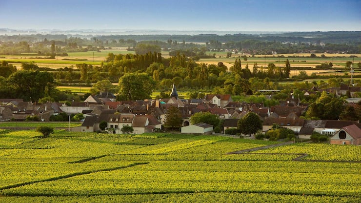 <p>Domaine Leflaive: Das Familienweingut in Puligny-Montrachet gibt es seit 1717. Es gehört zu den renommiertesten Weissweingütern der Welt.</p>