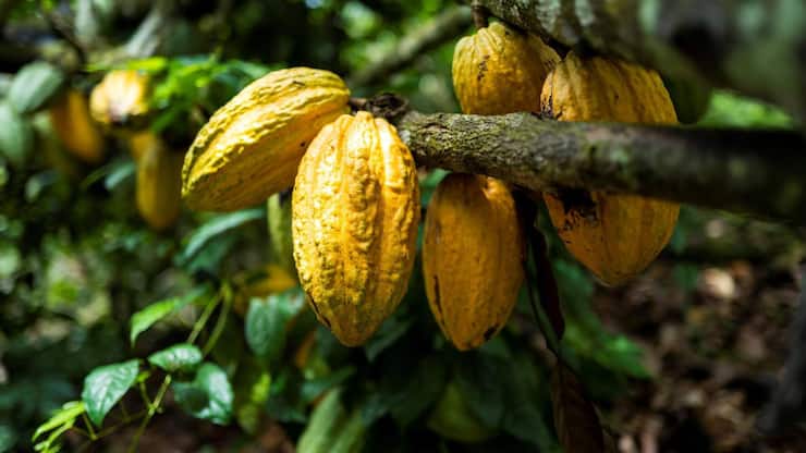 file834ll7d3h9v1376hebm0