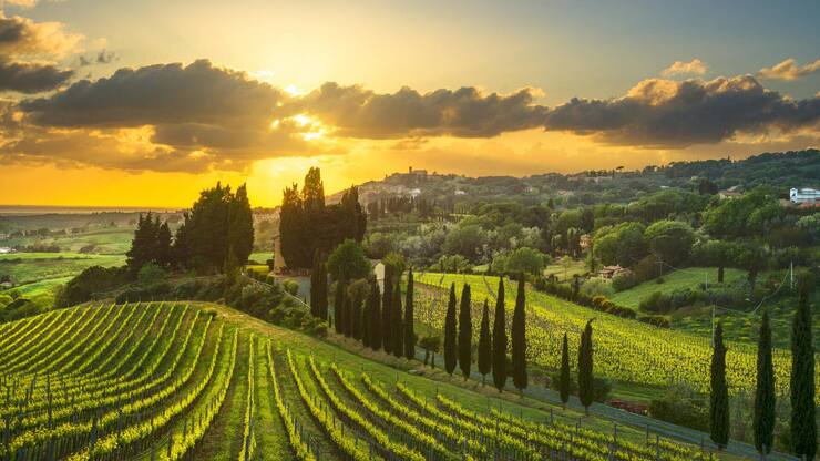 file7zyogbdhj393ubzjshn