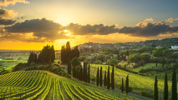 <p>Italien führt zwar das Ranking der weltweiten Weinproduktion an. Doch der Output in den Regionen ist heterogen. In der Toskana schrumpft die Weinproduktion 2025 um 12,5 Prozent gegenüber 2024.</p>