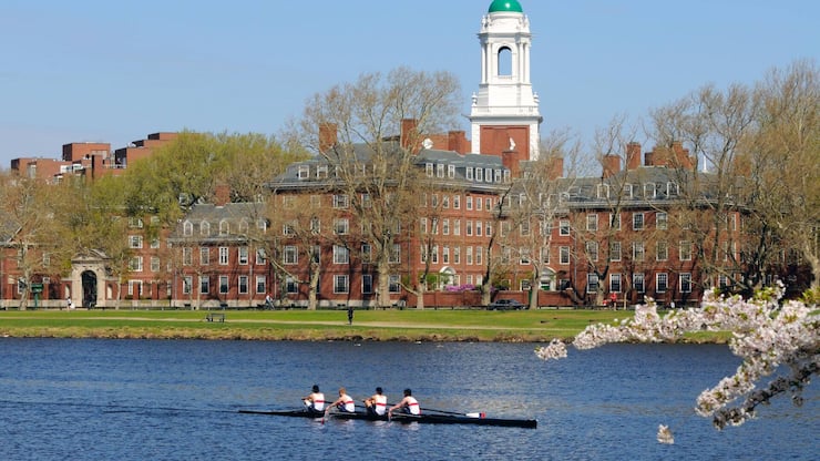 file82llmksln1k1ix7bs31m