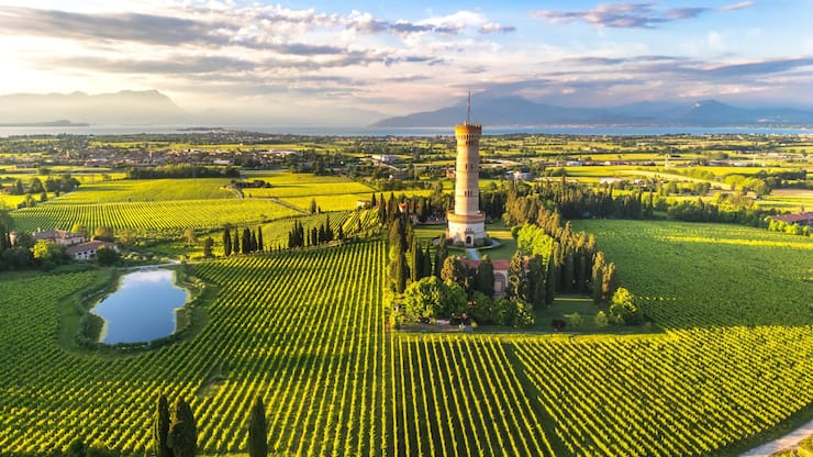 file80sxe4uu7zo68zbqhon