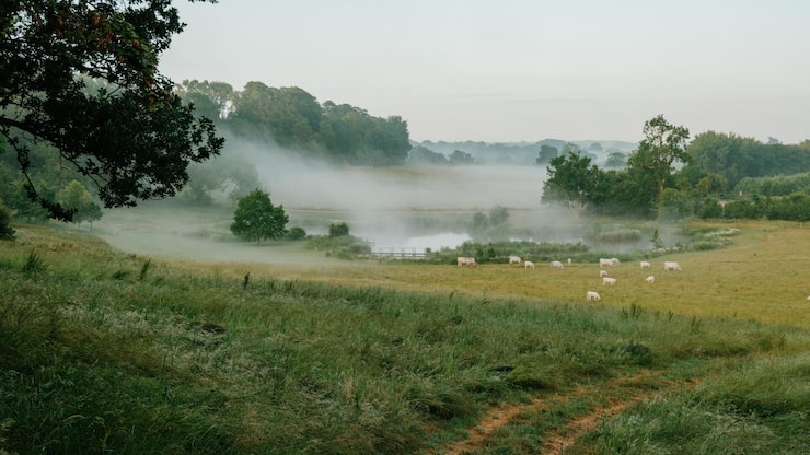 <p>Bruton, Frome oder Mells gelten als «places to be» für trendbewusste Briten.</p>