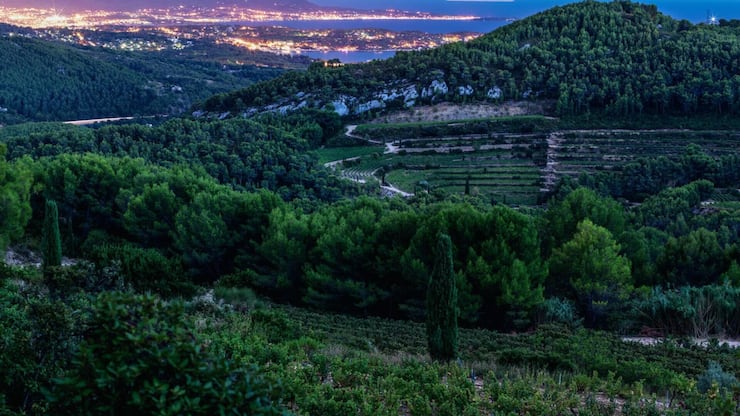 file84v9j8hg2hs10vzrgrvb