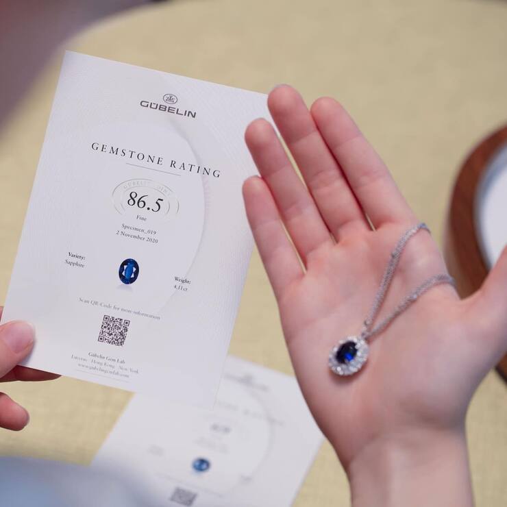 Gübelin Punktesystem