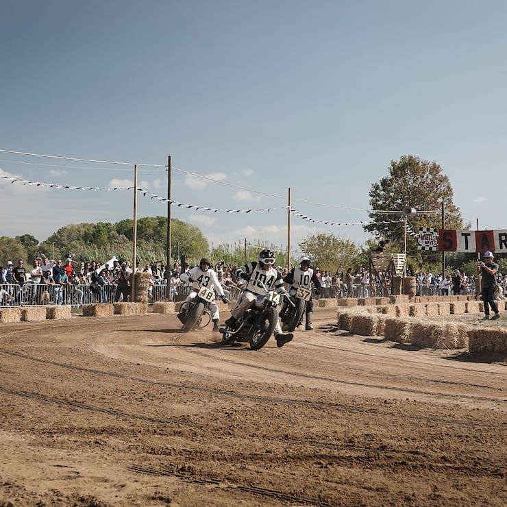 Festival Wheels and Waves