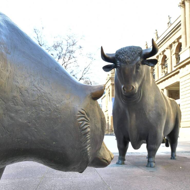 Bulle und Baer Boerse