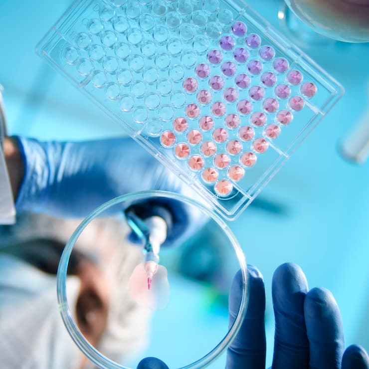 A scientist using a pipette with a microtiter plate and a petri dish