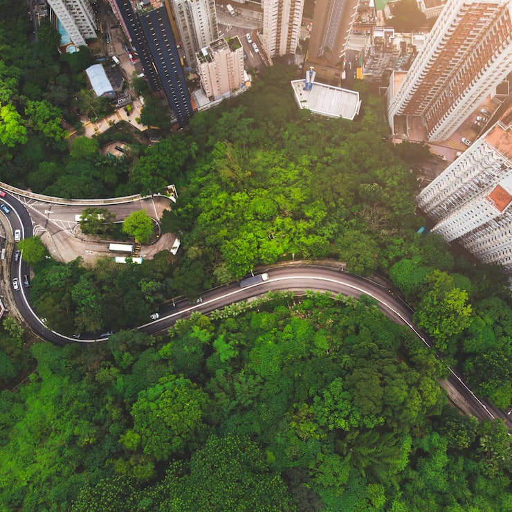 Aerial view of curve road in forest against buildings in Hong Kong