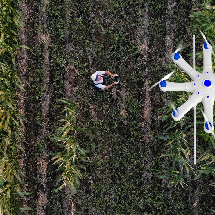 Farmer spraying his crops using a drone